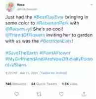 Free download Rose Ivy Stan free photo or picture to be edited with GIMP online image editor