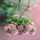 rose lotus wallpaper  screen for extension Chrome web store in OffiDocs Chromium