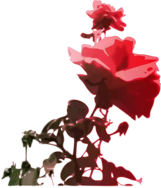 Free download Rose Pink Flower - Free vector graphic on Pixabay free illustration to be edited with GIMP free online image editor