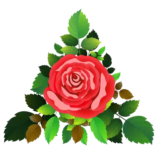 Free download Roses Flowers Floral -  free illustration to be edited with GIMP free online image editor