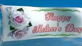 Free download Roses Happy Decoration -  free video to be edited with OpenShot online video editor