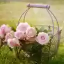 Roses in basket  screen for extension Chrome web store in OffiDocs Chromium