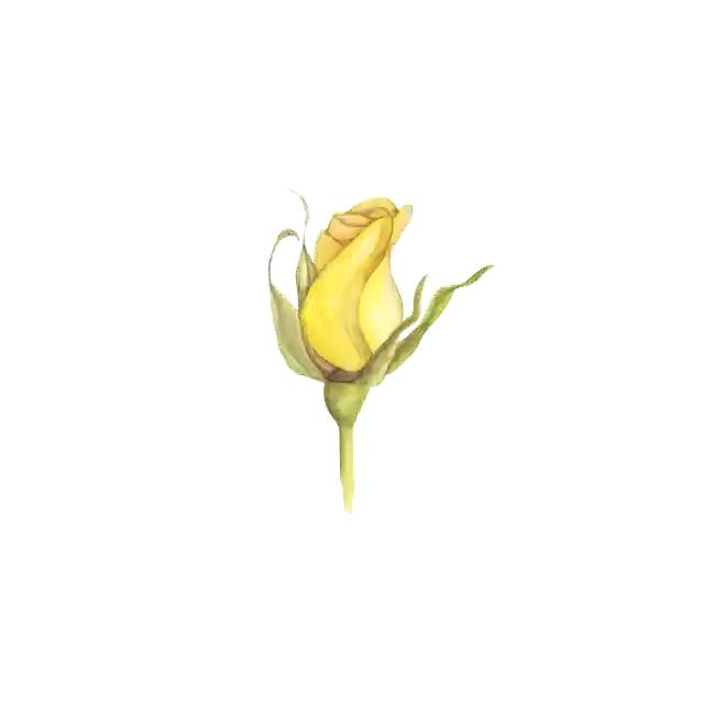 Free download Rose Watercolor Flower -  free illustration to be edited with GIMP free online image editor