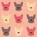 Rosie Frenchie  screen for extension Chrome web store in OffiDocs Chromium