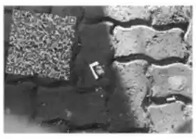 Free download Rostro de hombre joven free photo or picture to be edited with GIMP online image editor