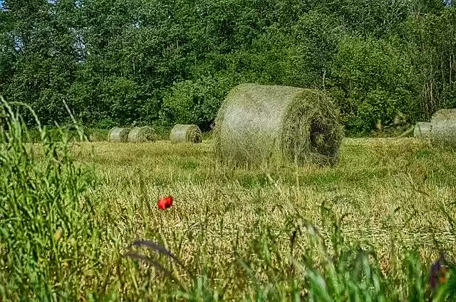 Free download Rotoball Hay Countryside -  free photo or picture to be edited with GIMP online image editor