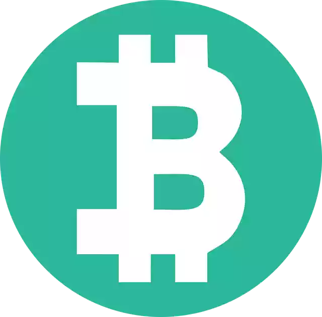 Free download Round Image Addition - Free vector graphic on Pixabay free illustration to be edited with GIMP free online image editor