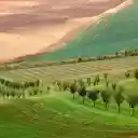 Rows of trees around the hills  screen for extension Chrome web store in OffiDocs Chromium