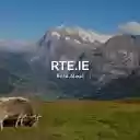 RTE.IE Read Aloud  screen for extension Chrome web store in OffiDocs Chromium