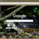 Rua dat  screen for extension Chrome web store in OffiDocs Chromium