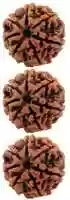 Free download rudraksh-mala free photo or picture to be edited with GIMP online image editor