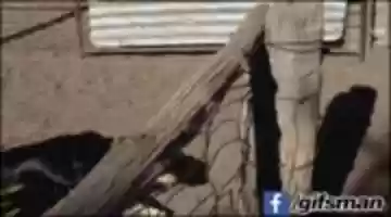 Free download run free photo or picture to be edited with GIMP online image editor