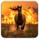 Running Horse  screen for extension Chrome web store in OffiDocs Chromium