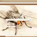 Ruoi trau  screen for extension Chrome web store in OffiDocs Chromium