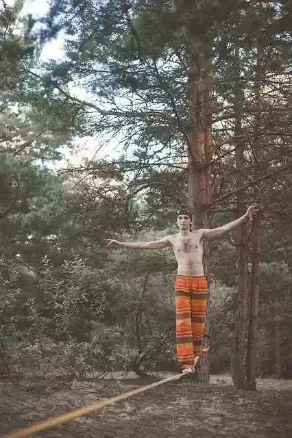 Free download Russia Man Forest -  free photo or picture to be edited with GIMP online image editor