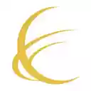 SacChat por Consensus  screen for extension Chrome web store in OffiDocs Chromium