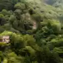 Sacred temple in deep forest  screen for extension Chrome web store in OffiDocs Chromium