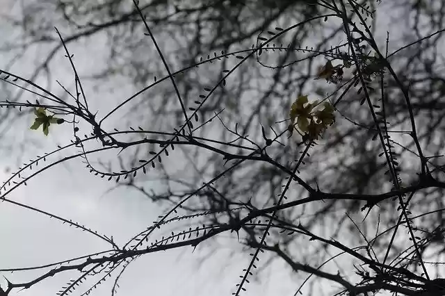 Free download Sad Dark Sadness -  free photo or picture to be edited with GIMP online image editor