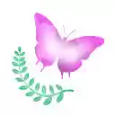 Sakura Dreams  screen for extension Chrome web store in OffiDocs Chromium