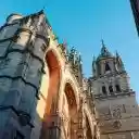 SALAMANCA FOREST Theme  screen for extension Chrome web store in OffiDocs Chromium