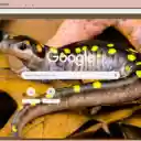 Salamander  screen for extension Chrome web store in OffiDocs Chromium
