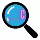 Salesforce Field Detective  screen for extension Chrome web store in OffiDocs Chromium