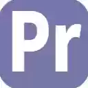 Salesforce Profile Reader  screen for extension Chrome web store in OffiDocs Chromium