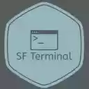 Salesforce Terminal  screen for extension Chrome web store in OffiDocs Chromium