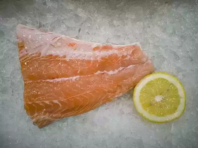 Free download Salmon Fish Vitamin -  free photo or picture to be edited with GIMP online image editor