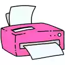 Salon Web Printer  screen for extension Chrome web store in OffiDocs Chromium