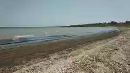 Free download Salt Lake Wave -  free video to be edited with OpenShot online video editor