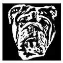 Samson | Space Gray  screen for extension Chrome web store in OffiDocs Chromium