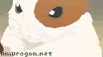 Free download Samurai Hamster free photo or picture to be edited with GIMP online image editor