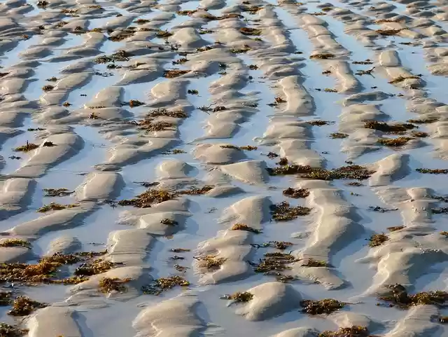 Free download sand beach sea water nature free picture to be edited with GIMP free online image editor