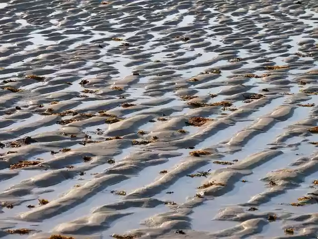 Free download sand sea beach water nature free picture to be edited with GIMP free online image editor