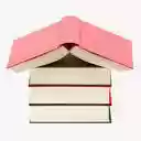 San Mateo library search v1  screen for extension Chrome web store in OffiDocs Chromium