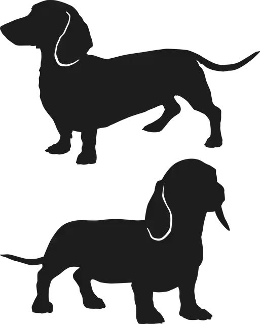 Free download Sausage Dog - Free vector graphic on Pixabay free illustration to be edited with GIMP free online image editor