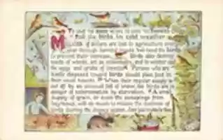 Free download Save The Birds (1910) free photo or picture to be edited with GIMP online image editor