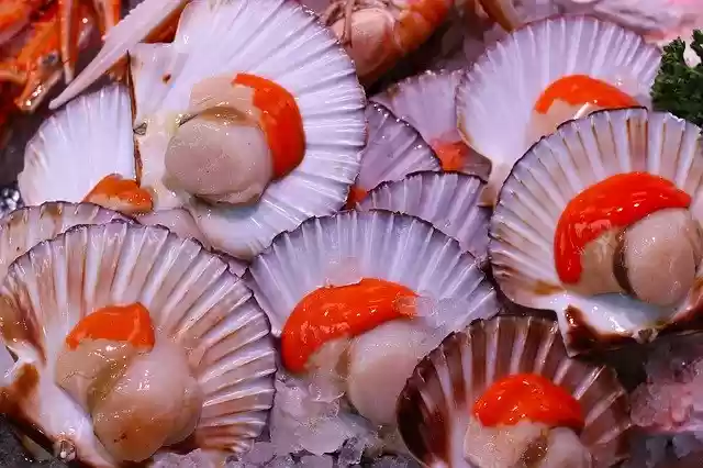 Free download Scallops Seafood Food -  free photo or picture to be edited with GIMP online image editor
