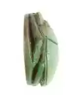 Free download Scarab Inscribed for Hatshepsut free photo or picture to be edited with GIMP online image editor