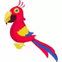 Scarlet Macaw  screen for extension Chrome web store in OffiDocs Chromium