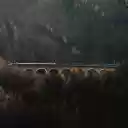 Scenic Train on Semmering Viaduct, Austria  screen for extension Chrome web store in OffiDocs Chromium