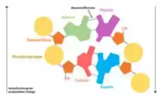 Free download Schematischer Aufbau der DNA free photo or picture to be edited with GIMP online image editor