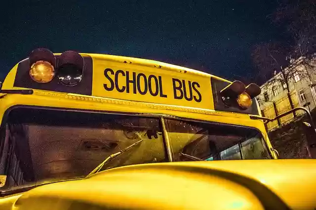 Free download school bus bus school school buses free picture to be edited with GIMP free online image editor
