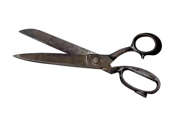 Free download Scissors Cut Hairdresser -  free illustration to be edited with GIMP free online image editor