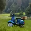 Scooter on the lawn  screen for extension Chrome web store in OffiDocs Chromium