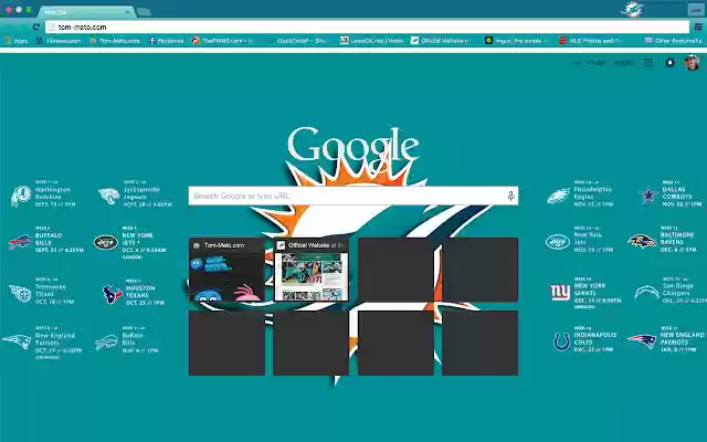2015 Miami Dolphins  from Chrome web store to be run with OffiDocs Chromium online
