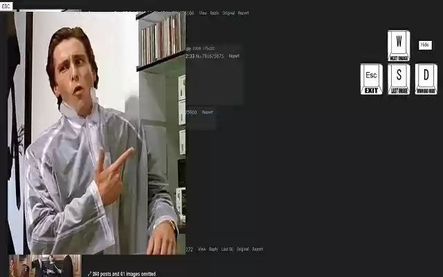 4chan Archive Image Viewer ຈາກຮ້ານເວັບ Chrome ທີ່ຈະດໍາເນີນການກັບ OffiDocs Chromium ອອນໄລນ໌