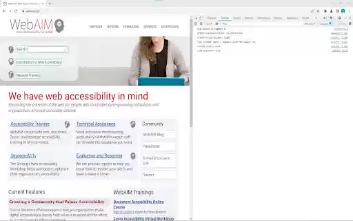A11y Analytics Demo  from Chrome web store to be run with OffiDocs Chromium online