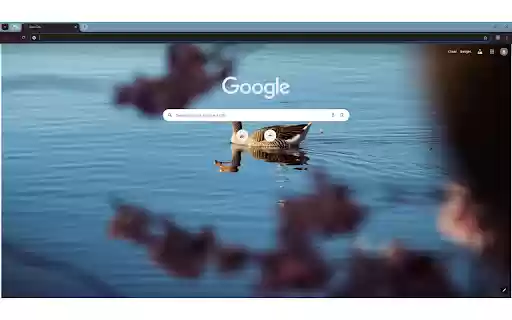 A duck swimming in a pond with pink flowers  from Chrome web store to be run with OffiDocs Chromium online